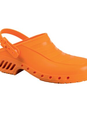 LX LUXOR CH CINT RIBE MULTICOLORE